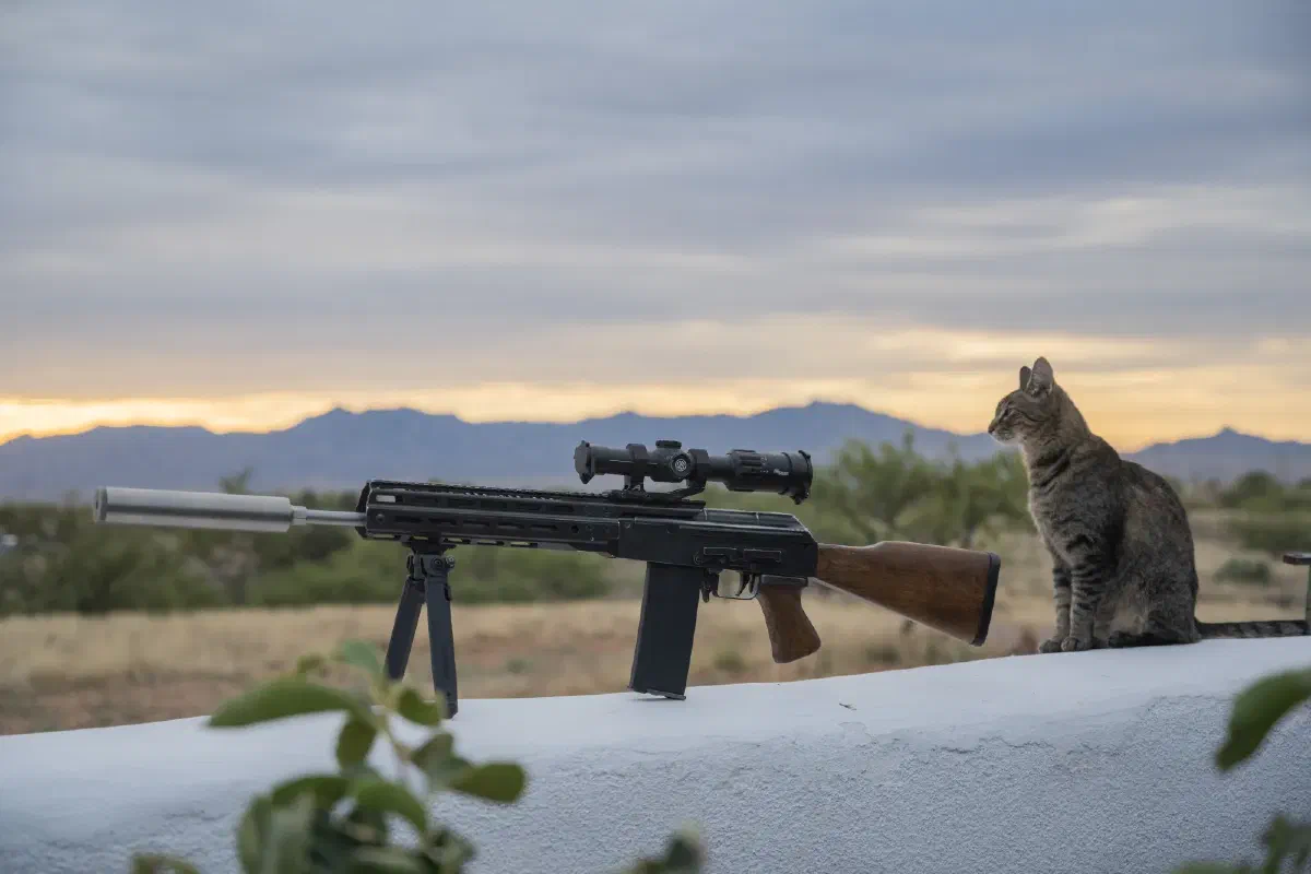 Cat pulls security at dawn with a 6.5G AK
