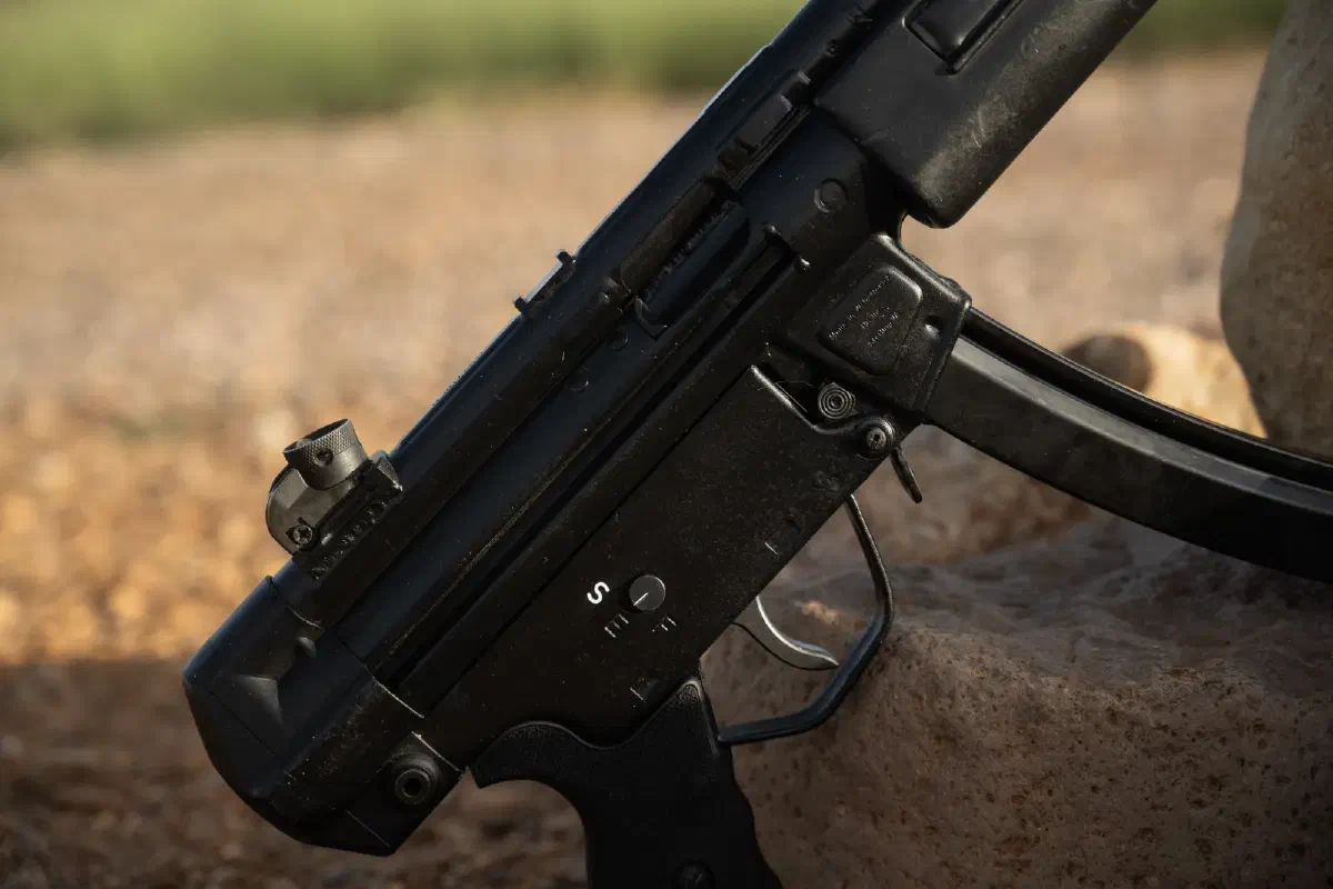 Rear sight and selector detail
